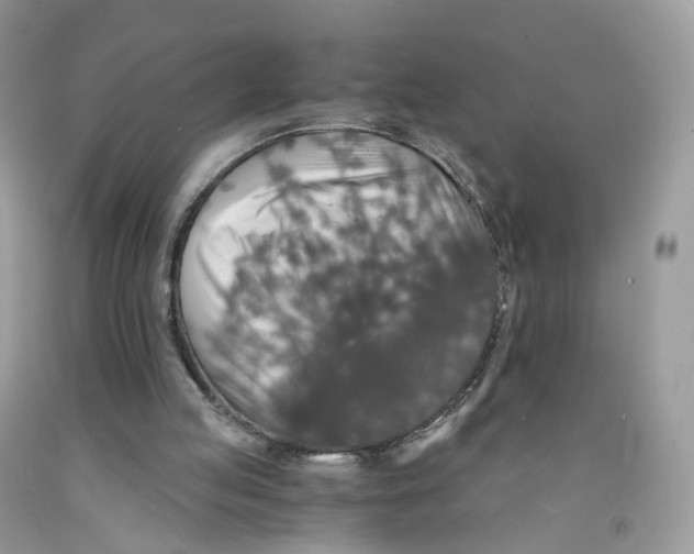 X0000091550053200709141524