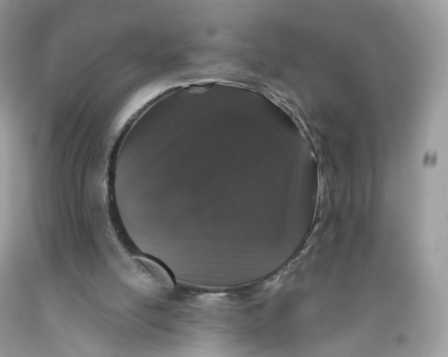 X0000091550054200709141524