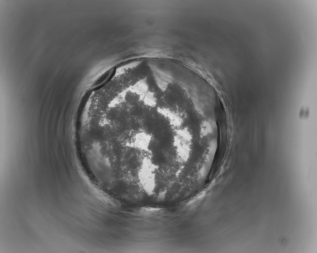 X0000091550055200709141524