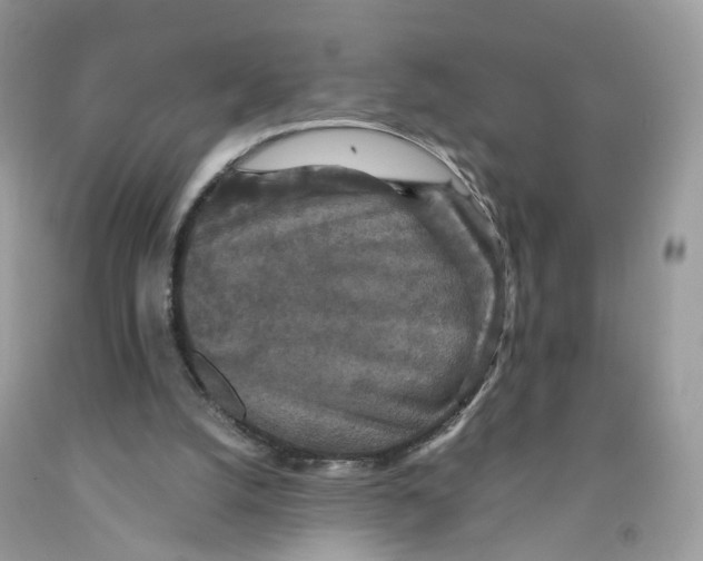 X0000091550056200709141524