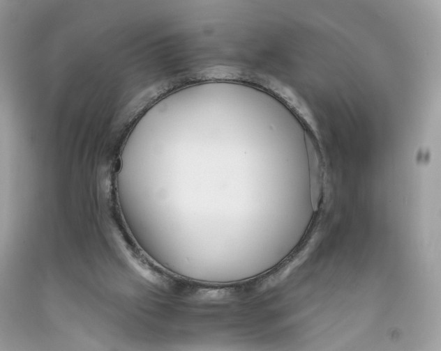 X0000091550057200709141524