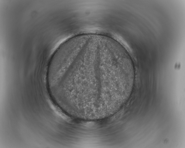 X0000091550058200709141524