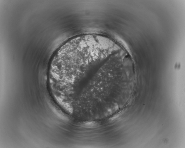 X0000091550059200709141524