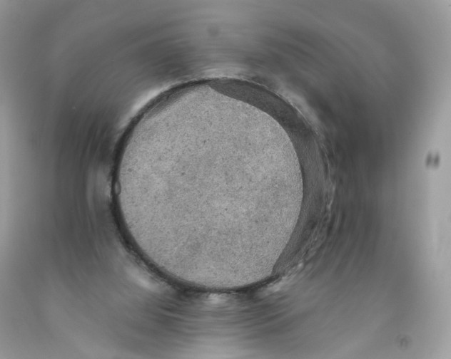 X0000091550060200709141524