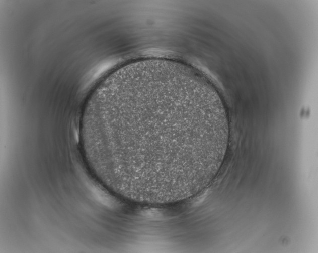 X0000091550062200709141524