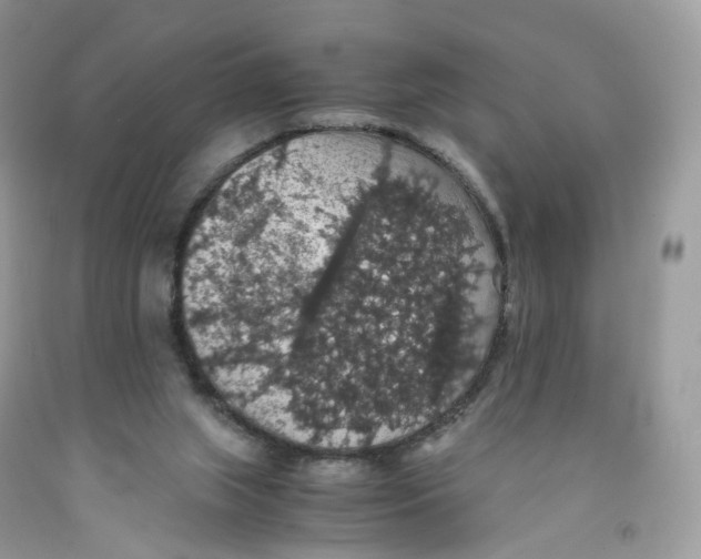 X0000091550063200709141524