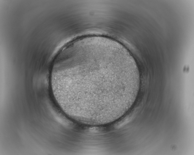 X0000091550064200709141524