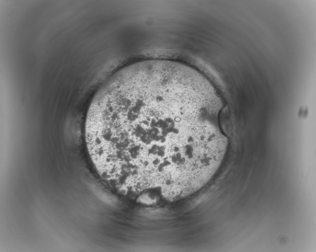 X0000091550065200709141524