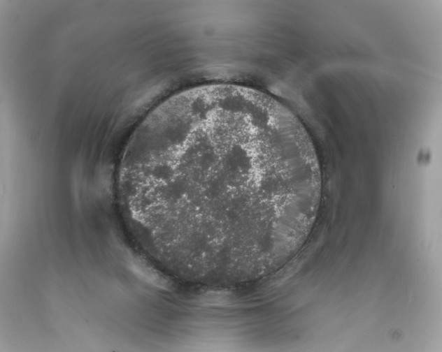 X0000091550066200709141524