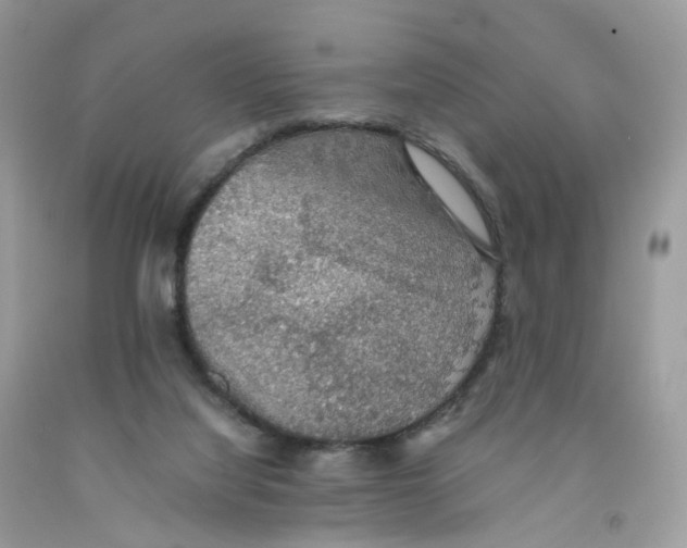 X0000091550068200709141524