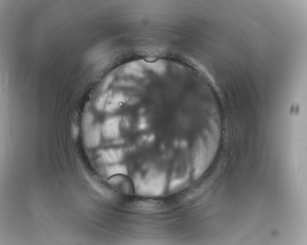 X0000091550069200709141524