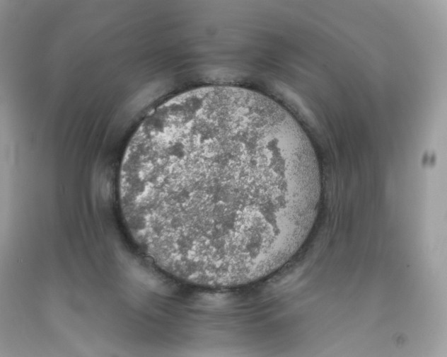 X0000091550071200709141524