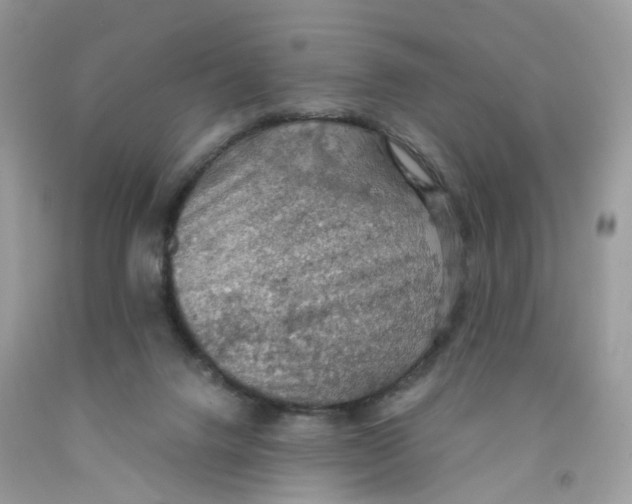 X0000091550072200709141524