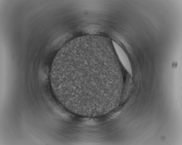 X0000091550073200709141524