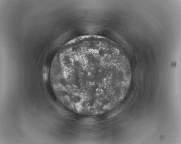 X0000091550075200709141524