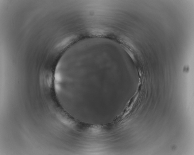 X0000091550076200709141524