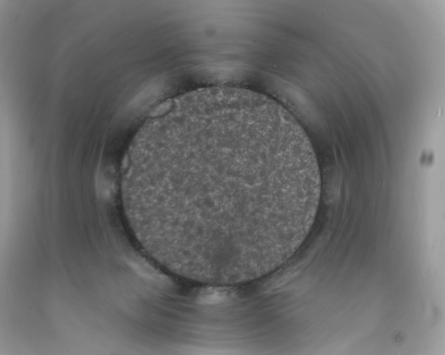 X0000091550077200709141524