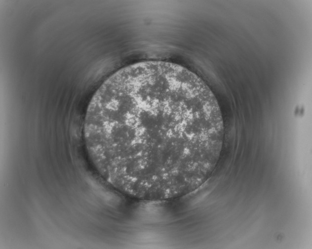 X0000091550078200709141524