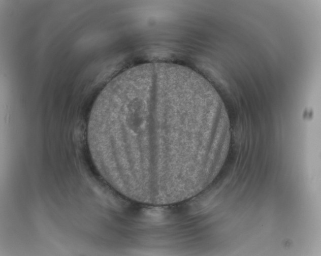 X0000091550079200709141524