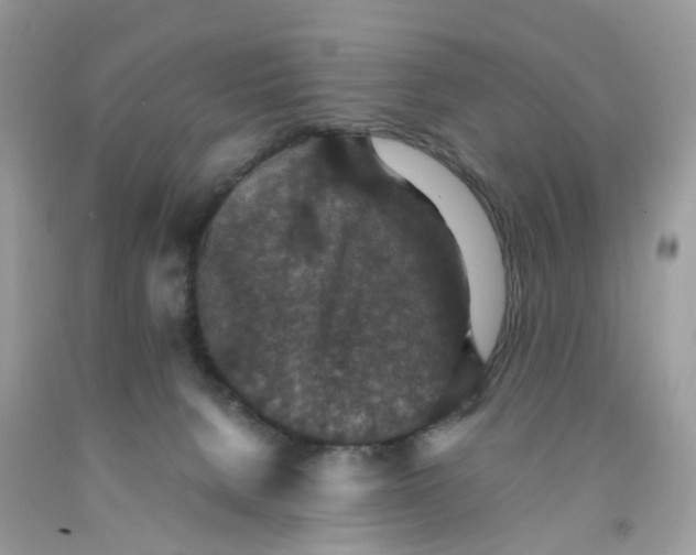 X0000091550080200709141524