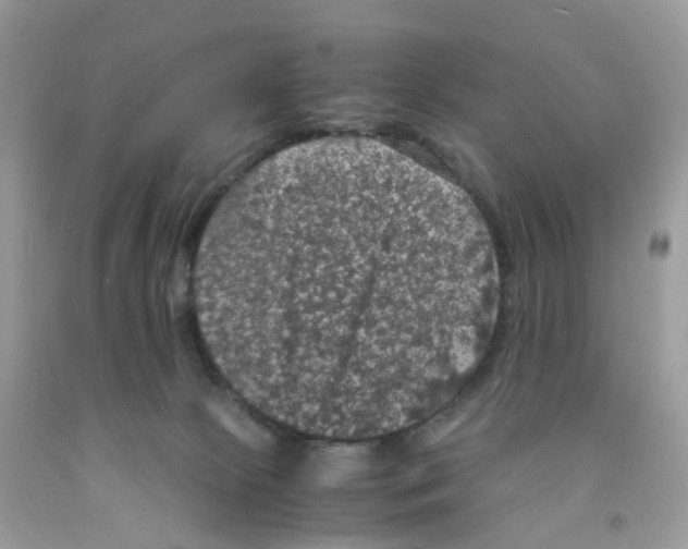 X0000091550081200709141524