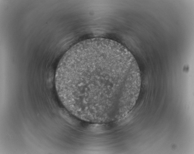 X0000091550082200709141524