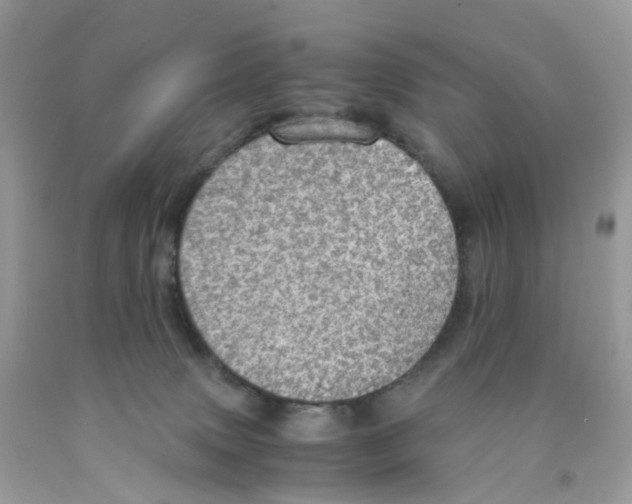 X0000091550083200709141524