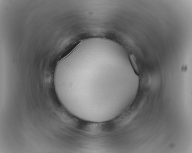 X0000091550084200709141524