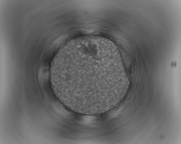 X0000091550085200709141524