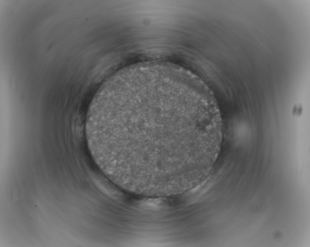 X0000091550086200709141524