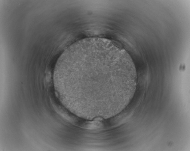 X0000091550087200709141524