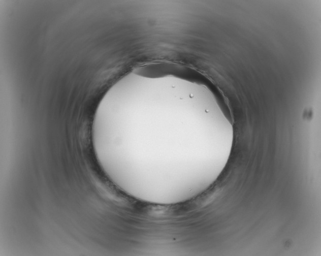 X0000091550088200709141524