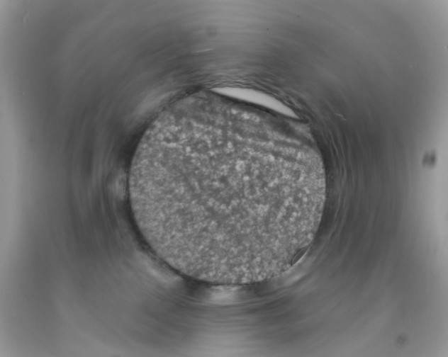 X0000091550090200709141524