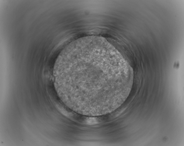 X0000091550091200709141524