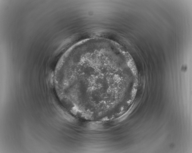 X0000091550094200709141525