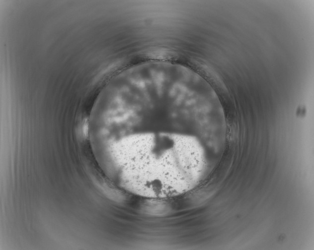 X0000091550095200709141525