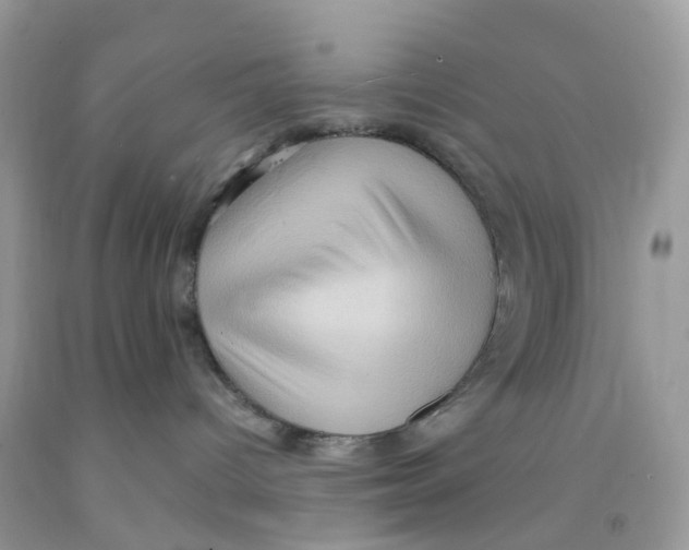 X0000091550096200709141525