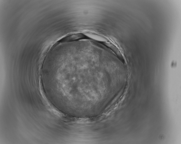 X0000091550097200709141524