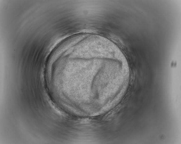 X0000091550098200709141524