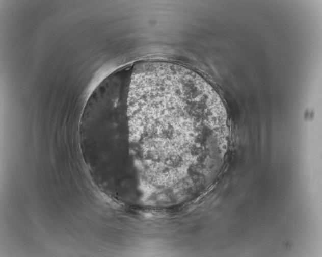 X0000091550099200709141524