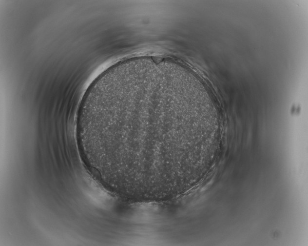 X0000091550100200709141524