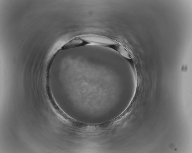 X0000091550101200709141524