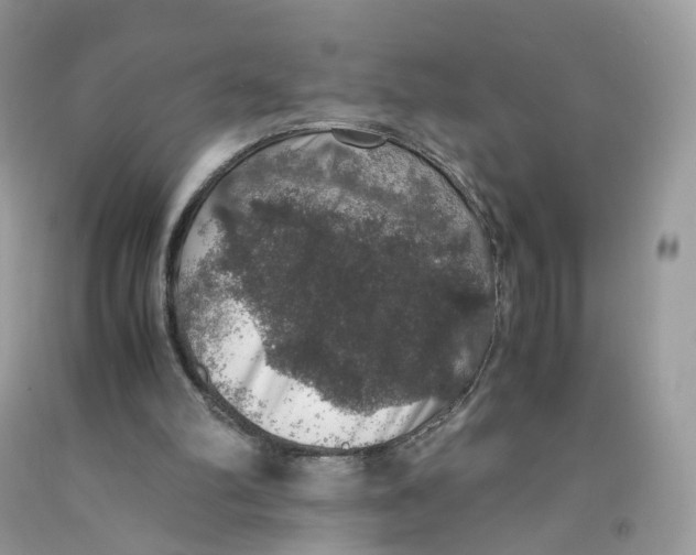 X0000091550102200709141524