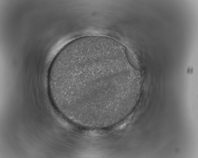 X0000091550103200709141524