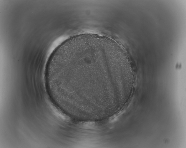 X0000091550104200709141524