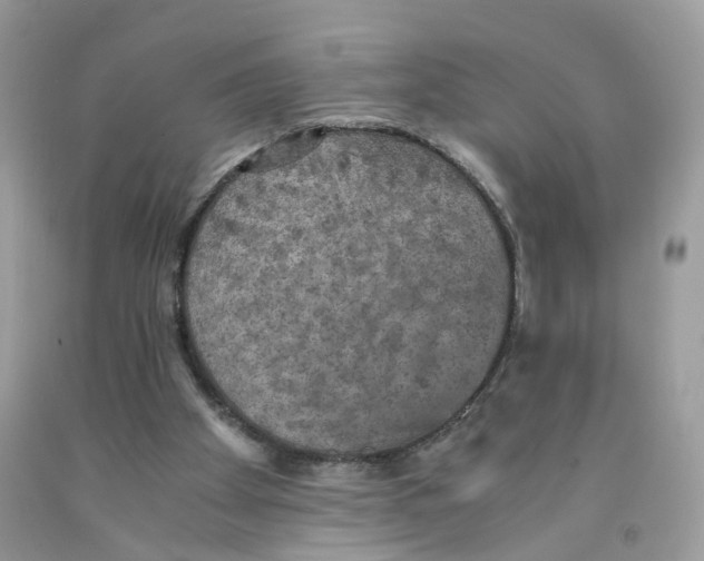 X0000091550105200709141524