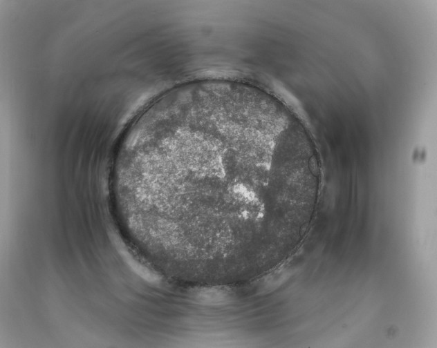 X0000091550106200709141524