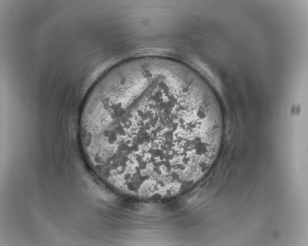 X0000091550107200709141524