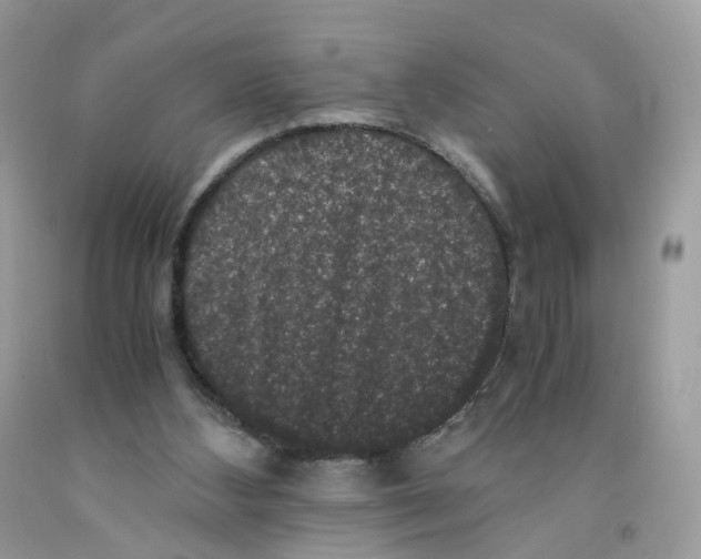 X0000091550108200709141524