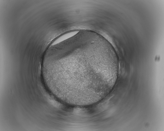 X0000091550109200709141524